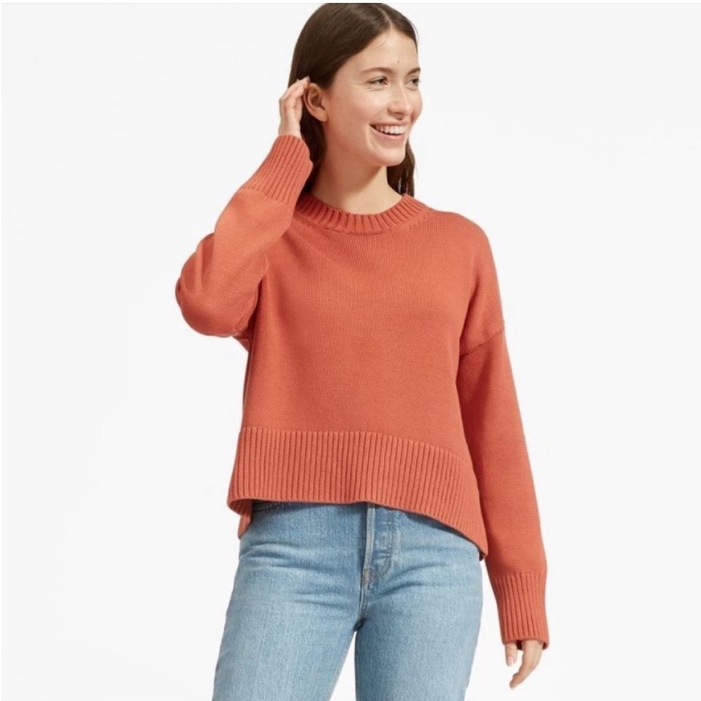 Everlane Soft Cotton Square Crew in Spanish Clay S